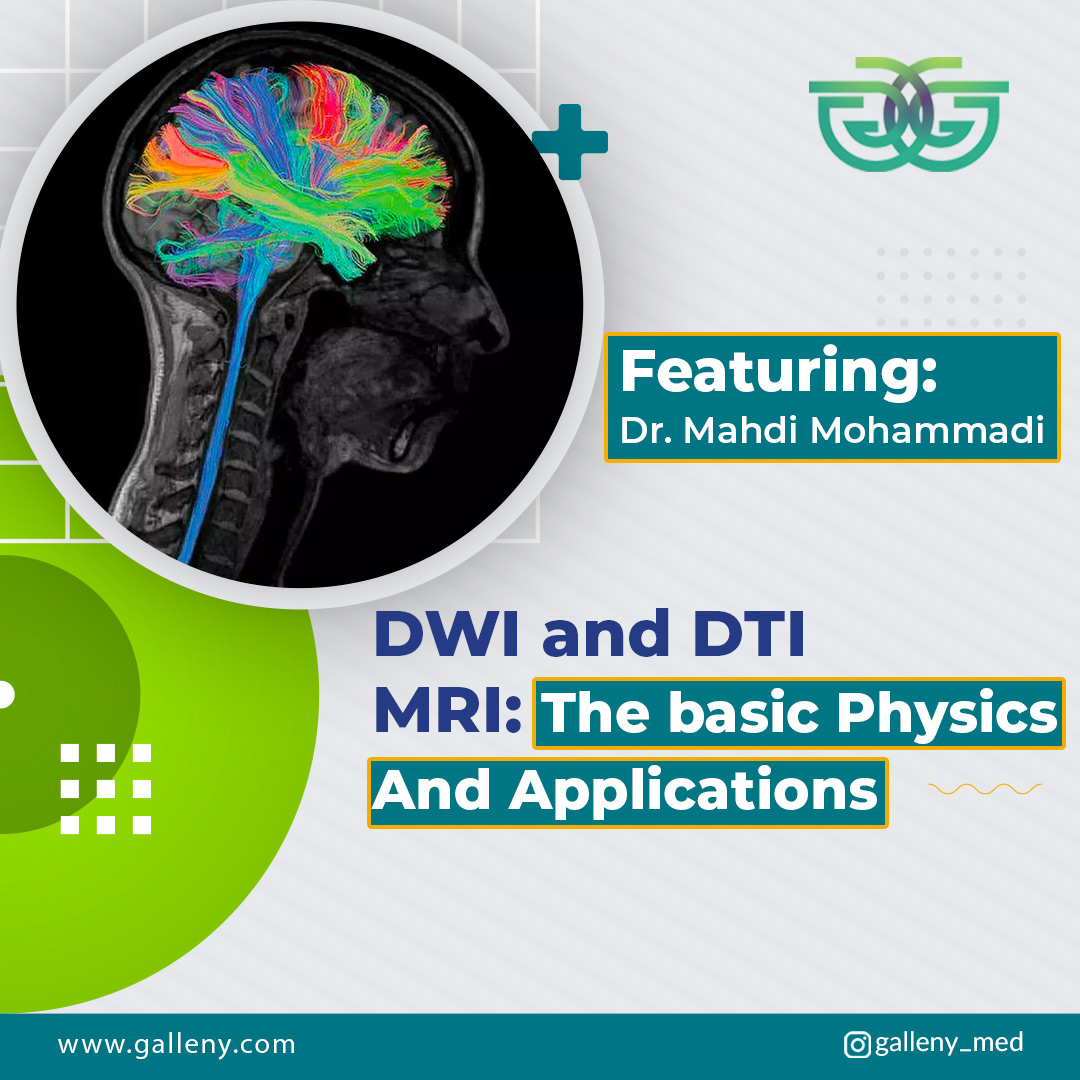 DWI-and-DTI-MRI